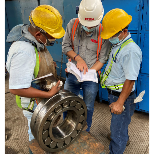 Training Roller Bearing