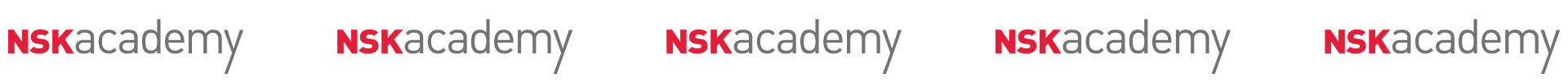 LOGO_NSK-Academy-Banner_1920x100 - 1