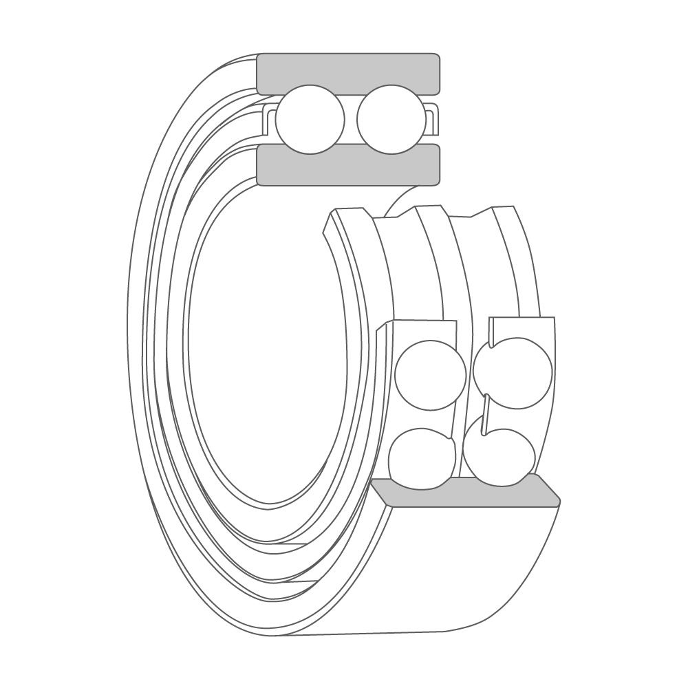 3D model and cross-section of a double-row angular contact ball bearing with the two inner ring raceways, cage, balls, and singular outer ring visible.