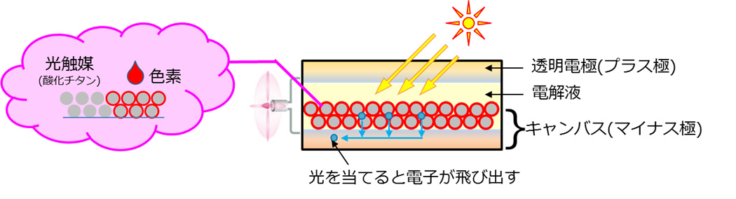 色素増感太陽電池の構造 