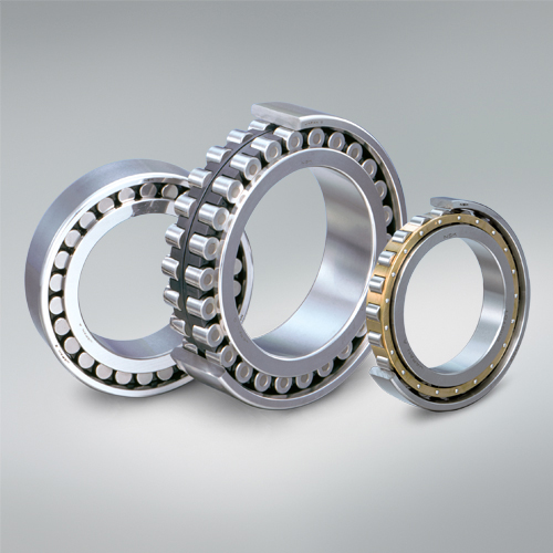 APTSURF cylindrical roller bearings