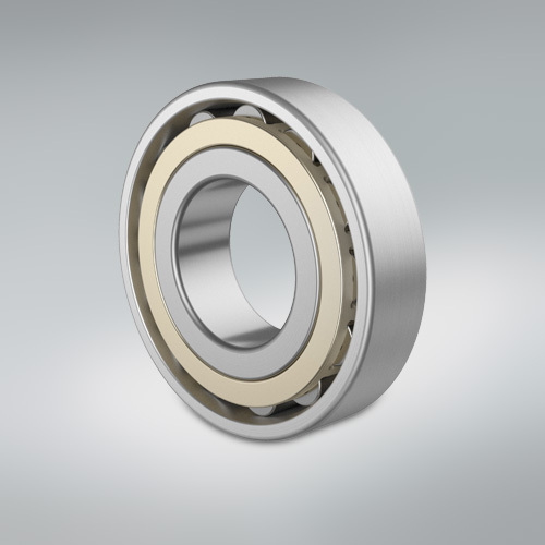 Cylindrical Roller Bearing - Small gear